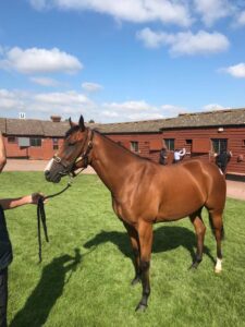 ПРОДАЖ УНІКАЛЬНОЇ НЕРУХОМОСТІ ПОРУЧ З МІСТОМ