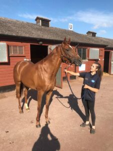 ПРОДАЖ УНІКАЛЬНОЇ НЕРУХОМОСТІ ПОРУЧ З МІСТОМ